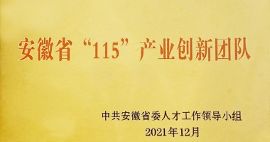 芜湖市市委组织部为管家婆一肖一码最准资料公开安徽省“115”产业创新团队授牌